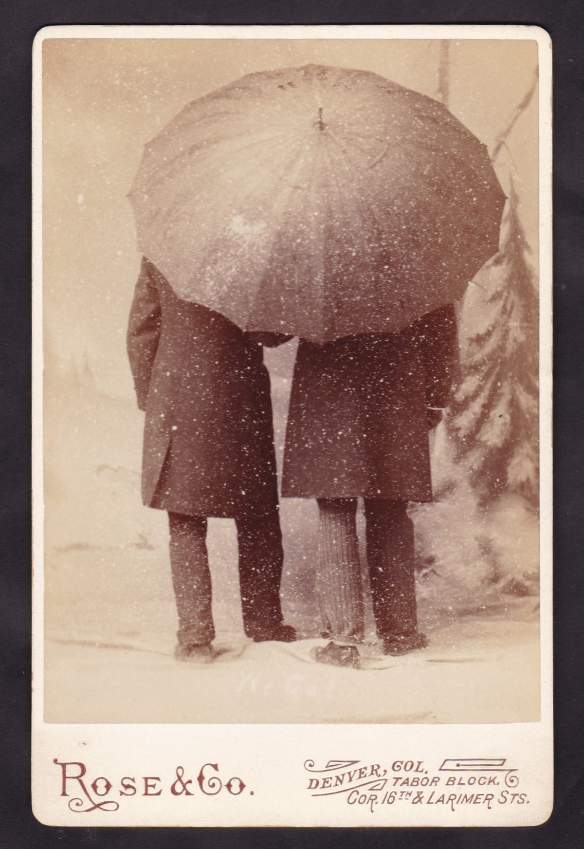 Photos of Umbrellas and Parasols