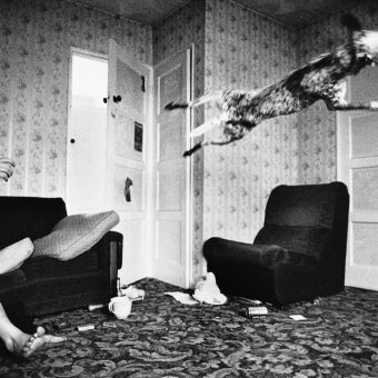 Looking at The British, 1994–1999