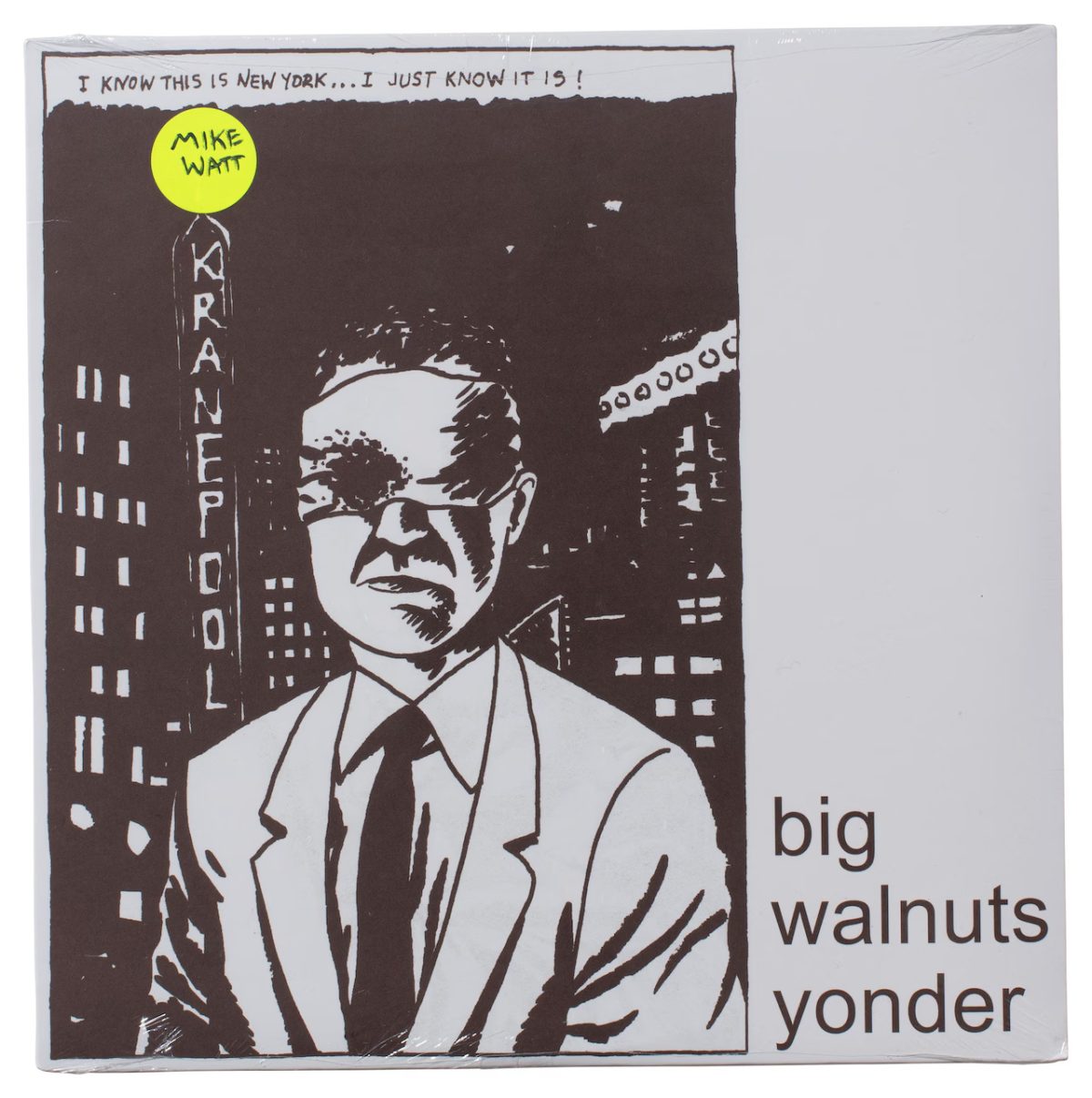 Raymond Pettibon punk