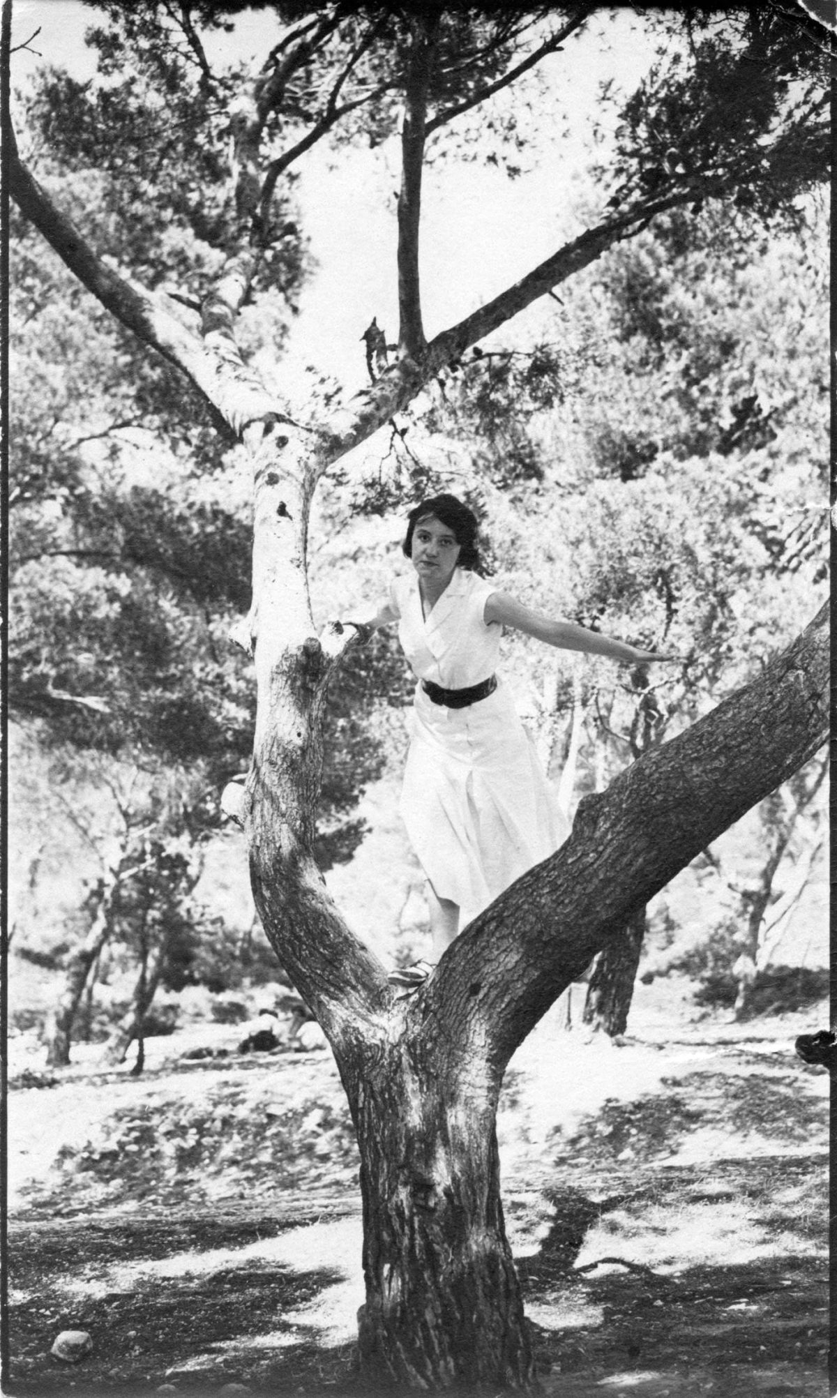 women in trees