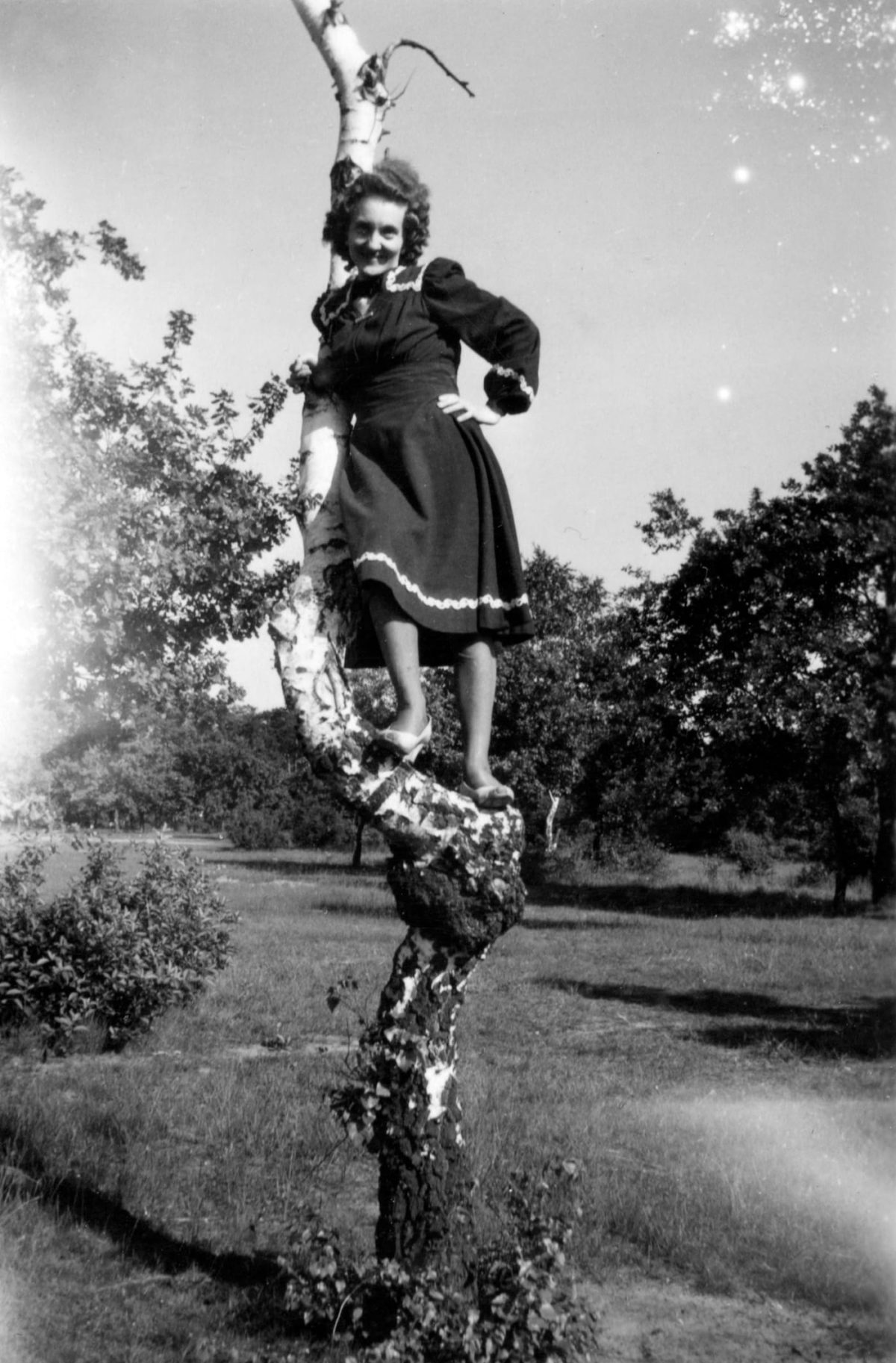 women in trees