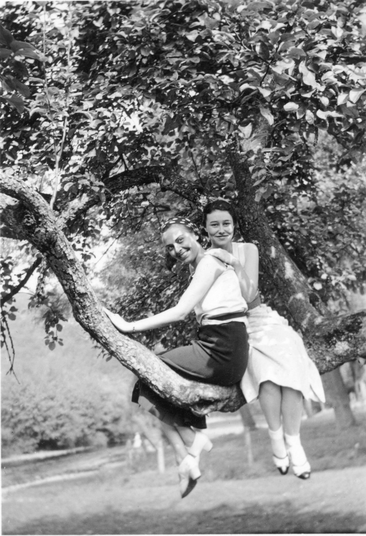 women in trees