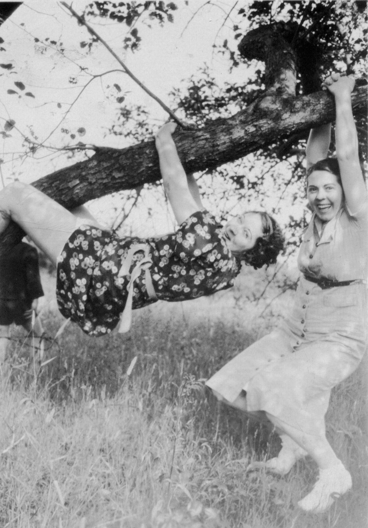 women in trees