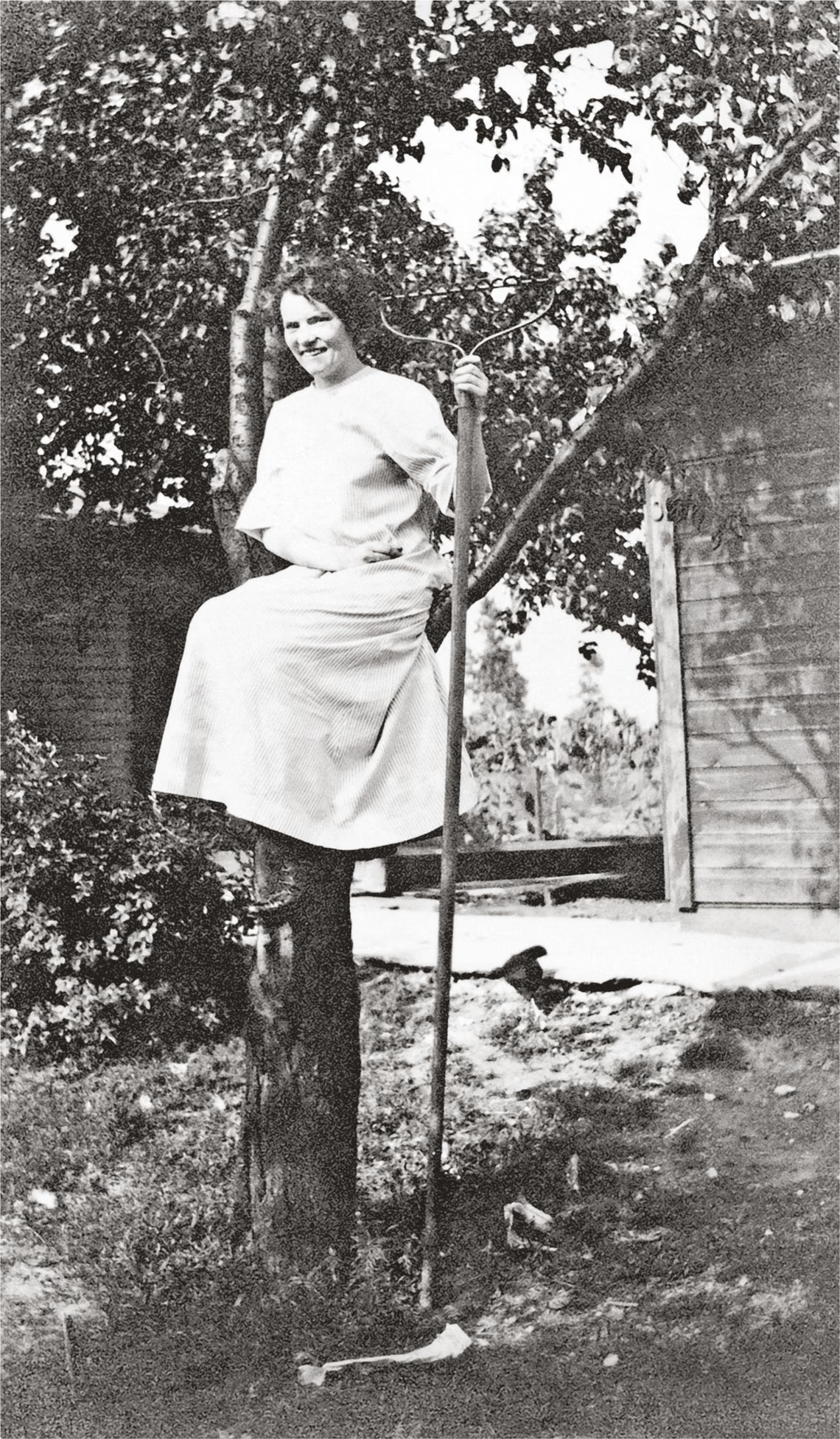 women in trees