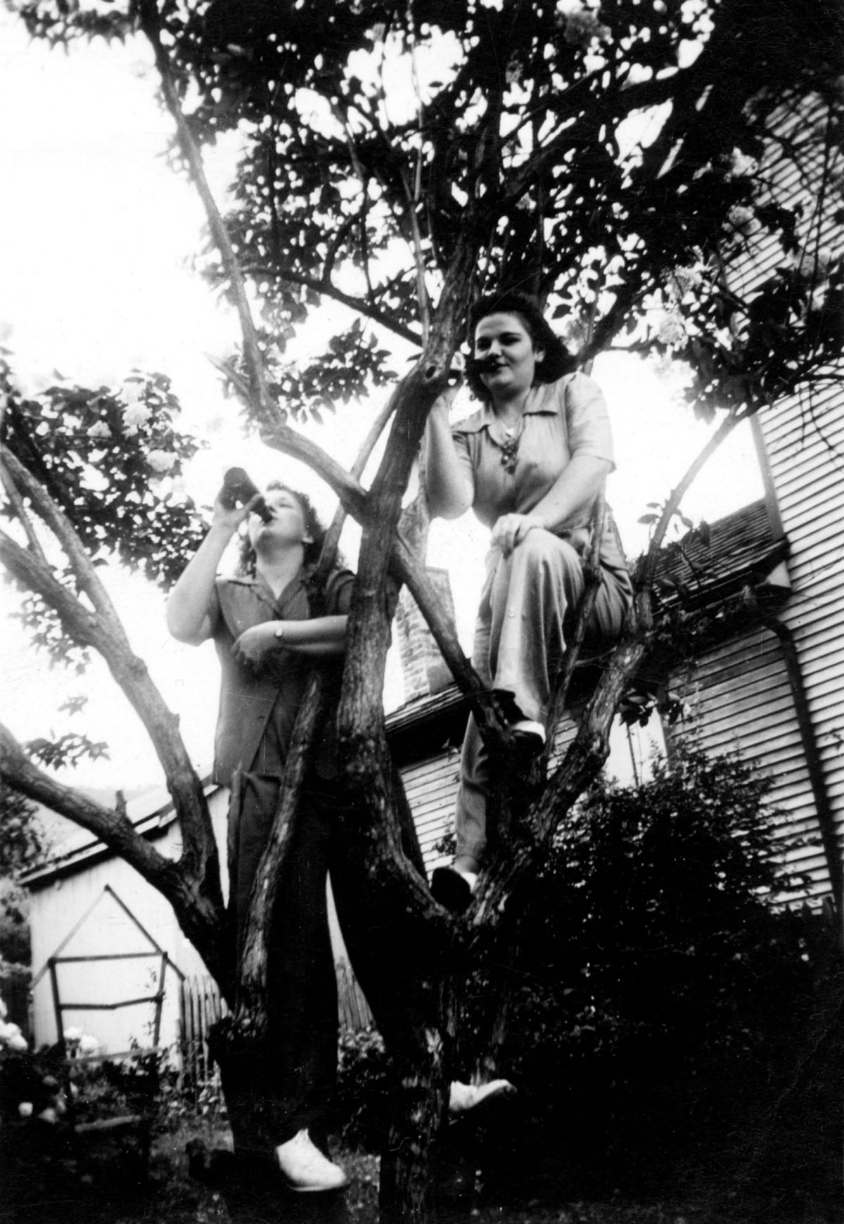 women in trees