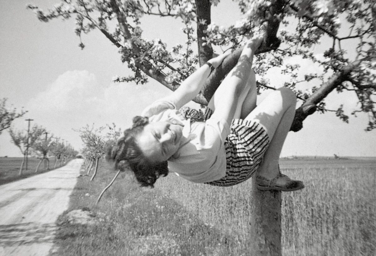 women in trees