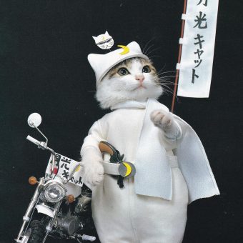 Nameneko Cats From the 1980s
