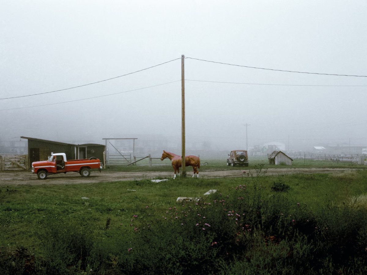 Plastic Horse, Wyoming
