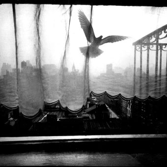 The Beauty and Subtle Moments of Everyday Life, Photos 1954-