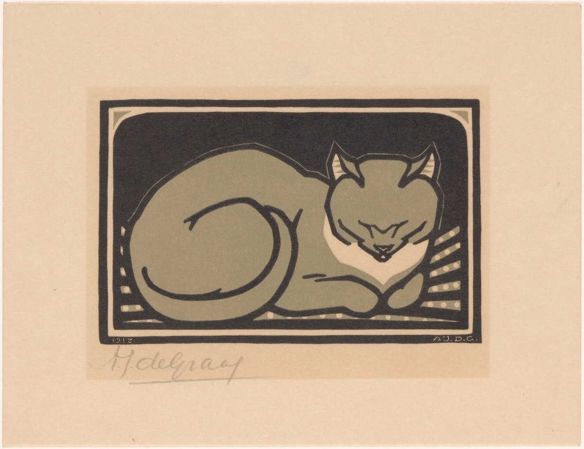 Julie de graag cat