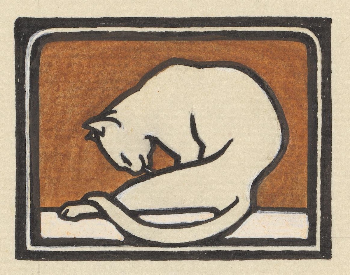 Julie de graag cat